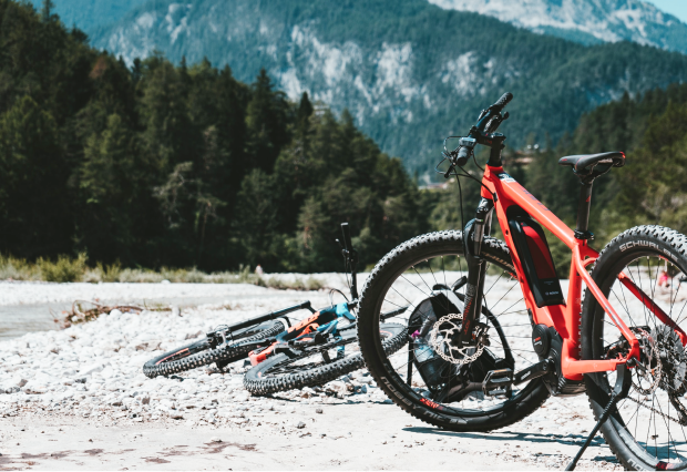 Trek bycile on a forest terrain